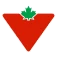 Canadian Tire logo