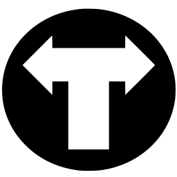 The Terminal Corporation logo